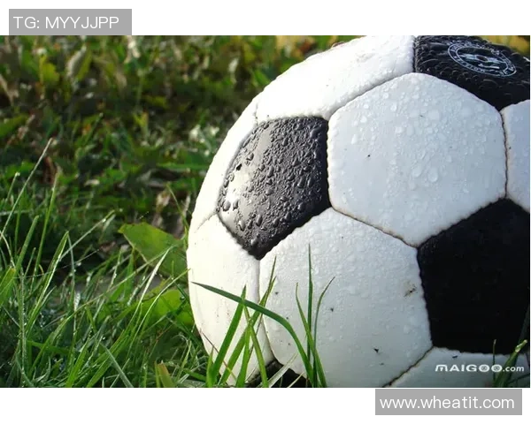 全球足球最昂贵球星卡排行榜盘点顶级收藏价值与市场动态