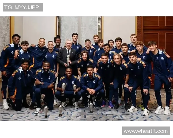 全球足球球星数量统计与分析及其发展趋势探索